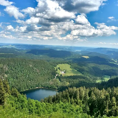 Apartment Hubertus - 1, Feldberg, Titisee, Schluchsee *